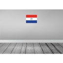 [LA-119504] Blechschild 30x40 cm Paraguays Paraguay Flagge Fahne Wappen Bild 2