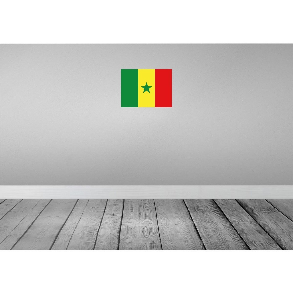 [LA-119523] Blechschild 30x40 cm Senegal Flagge Fahne Wappen Bild 2