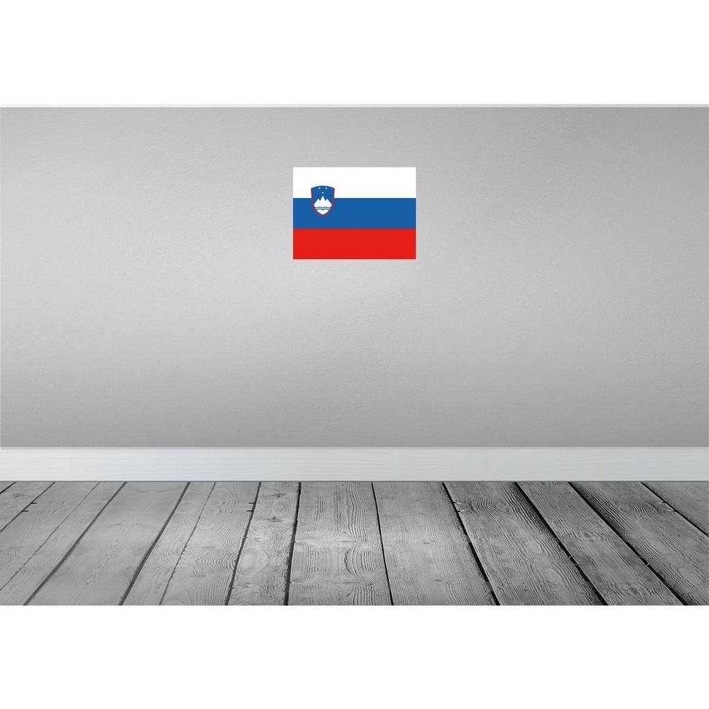[LA-119529] Blechschild 30x40 cm Sloweniens Slovenia Flagge Fahne Wappen Bild 2