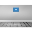 [LA-119531] Blechschild 30x40 cm Somalias Somalia Flagge Fahne Wappen Bild 2