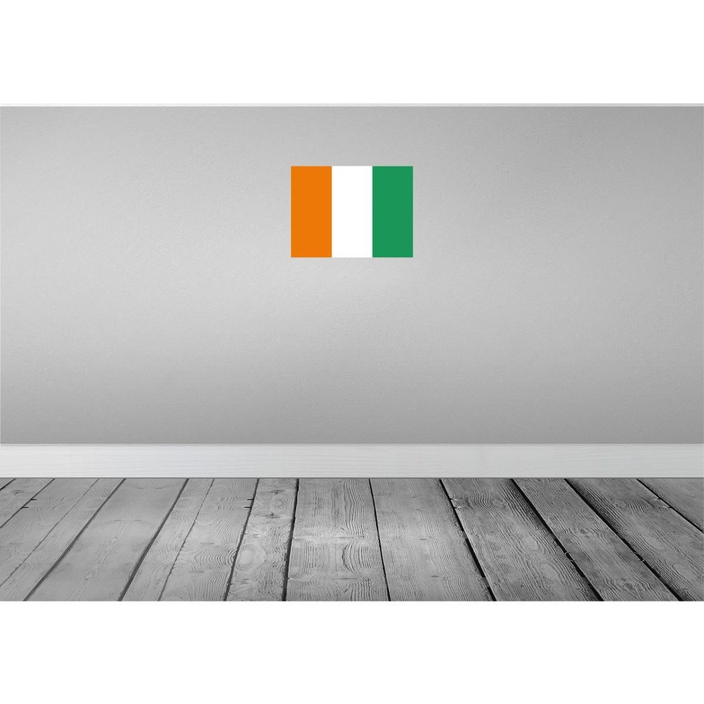 [LA-119570] Blechschild 30x40 cm Elfenbeinküste Ivory Coast Flagge Fahne Wappen Bild 2