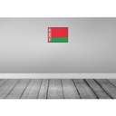 [LA-119590] Blechschild 30x40 cm Weißrussland Retro Belarus Flagge Fahne Wappen Bild 2
