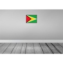 [LA-119659-H] Holzschild 30x40 cm Guyanas Retro Guyana Flagge Fahne Wappen Bild 2