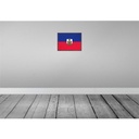 [LA-119660] Blechschild 30x40 cm Haitis Retro Haiti Flagge Fahne Wappen Bild 2