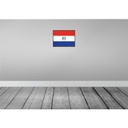 [LA-119732] Blechschild 30x40 cm Paraguays Retro Paraguay Flagge Fahne Wappen Bild 2