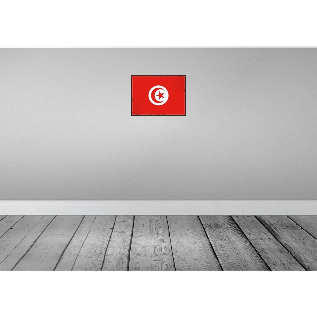 [LA-119780] Blechschild 30x40 cm Tunesiens Retro Tunisia Flagge Fahne Wappen Bild 2