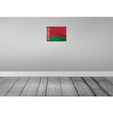 [LA-119818] Blechschild 30x40 cm Weißrussland Belarus Flagge Fahne Wappen Bild 2