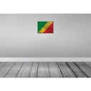 [LA-119846] Blechschild 30x40 cm Kongo the Congo Flagge Fahne Wappen Bild 2
