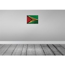 [LA-119887-H] Holzschild 30x40 cm Guyana Flagge Fahne Wappen Bild 2