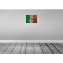 [LA-119898] Blechschild 30x40 cm Irland Ireland Flagge Fahne Wappen Bild 2