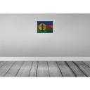 [LA-119944] Blechschild 30x40 cm Neukaledonien Flagge Fahne Wappen Bild 2