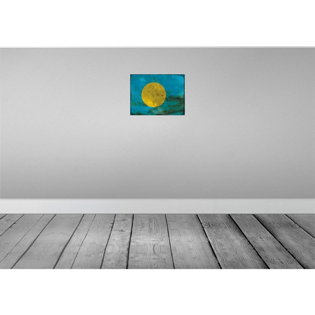[LA-119957] Blechschild 30x40 cm Palau Flagge Fahne Wappen Bild 2