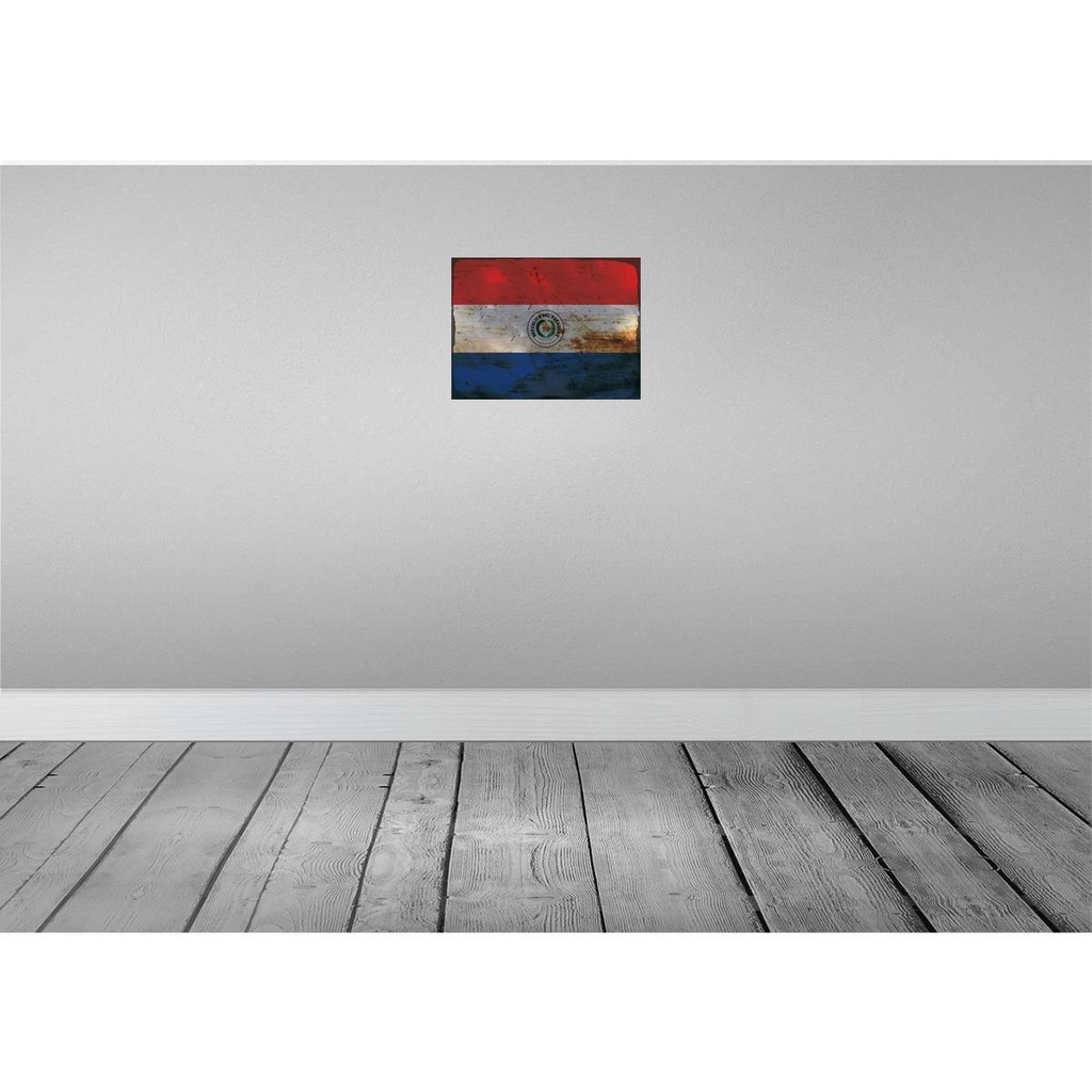[LA-119960] Blechschild 30x40 cm Paraguay Flagge Fahne Wappen Bild 2