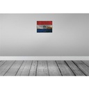 [LA-119960] Blechschild 30x40 cm Paraguay Flagge Fahne Wappen Bild 2