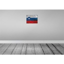 [LA-119985] Blechschild 30x40 cm Slowenien Slovenia Flagge Fahne Wappen Bild 2