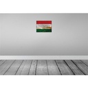 [LA-119999-H] Holzschild 30x40 cm Tadschikistan Tajikistan Flagge Fahne Wappen Bild 2