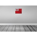 [LA-120006] Blechschild 30x40 cm Tonga Flagge Fahne Wappen Bild 2