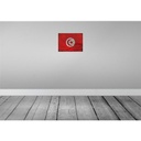 [LA-120008] Blechschild 30x40 cm Tunesien Tunisia Flagge Fahne Wappen Bild 2