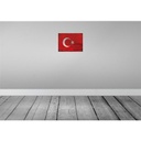[LA-120009] Blechschild 30x40 cm Türkei Turkey Flagge Fahne Wappen Bild 2