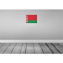 [LA-120083] Blechschild 30x40 cm Weißrussland Belarus Europa Flagge Fahne Wappen Bild 2