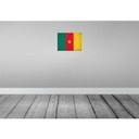 [LA-120099] Blechschild 30x40 cm Kamerun Cameroon Flagge Fahne Wappen Bild 2