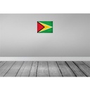 [LA-120152-H] Holzschild 30x40 cm Guyana Flagge Fahne Wappen Bild 2