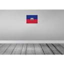 [LA-120153] Blechschild 30x40 cm Haiti Flagge Fahne Wappen Bild 2