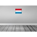 [LA-120184] Blechschild 30x40 cm Luxemburg Luxembourg Europa Flagge Fahne Wappen Bild 2