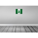 [LA-120215] Blechschild 30x40 cm Norfolkinsel Flagge Fahne Wappen Bild 2