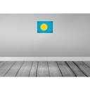 [LA-120222] Blechschild 30x40 cm Palau Flagge Fahne Wappen Bild 2