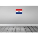 [LA-120225-H] Holzschild 30x40 cm Paraguay Flagge Fahne Wappen Bild 2