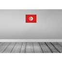 [LA-120273-H] Holzschild 30x40 cm Tunesien Tunisia Flagge Fahne Wappen Bild 2