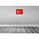 [LA-120274] Blechschild 30x40 cm Türkei Turkey Flagge Fahne Wappen Bild 2