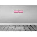 [LA-120754] Blechschild 10x46 cm ich zu Prinzessin Arschloch Spruch Zitat Bild 2