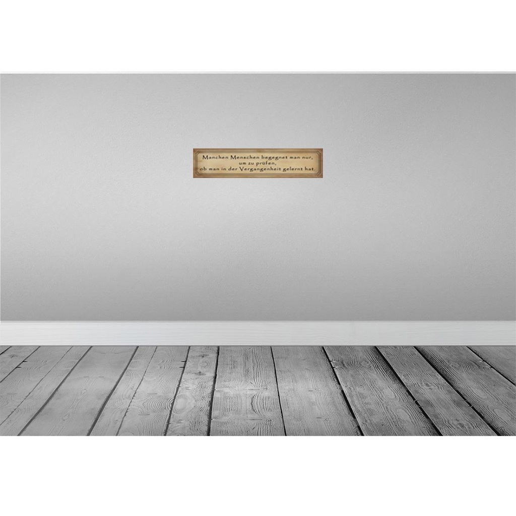 [LA-120760] Blechschild 10x46 cm manche Menschen begegnet man nur Spruch Zitat Bild 2