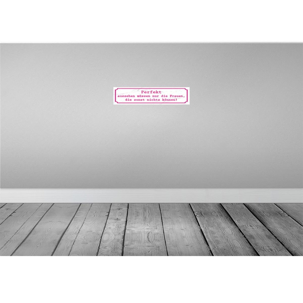 [LA-120778] Blechschild 10x46 cm Perekt aussehen nur Frauen die Spruch Zitat Bild 2