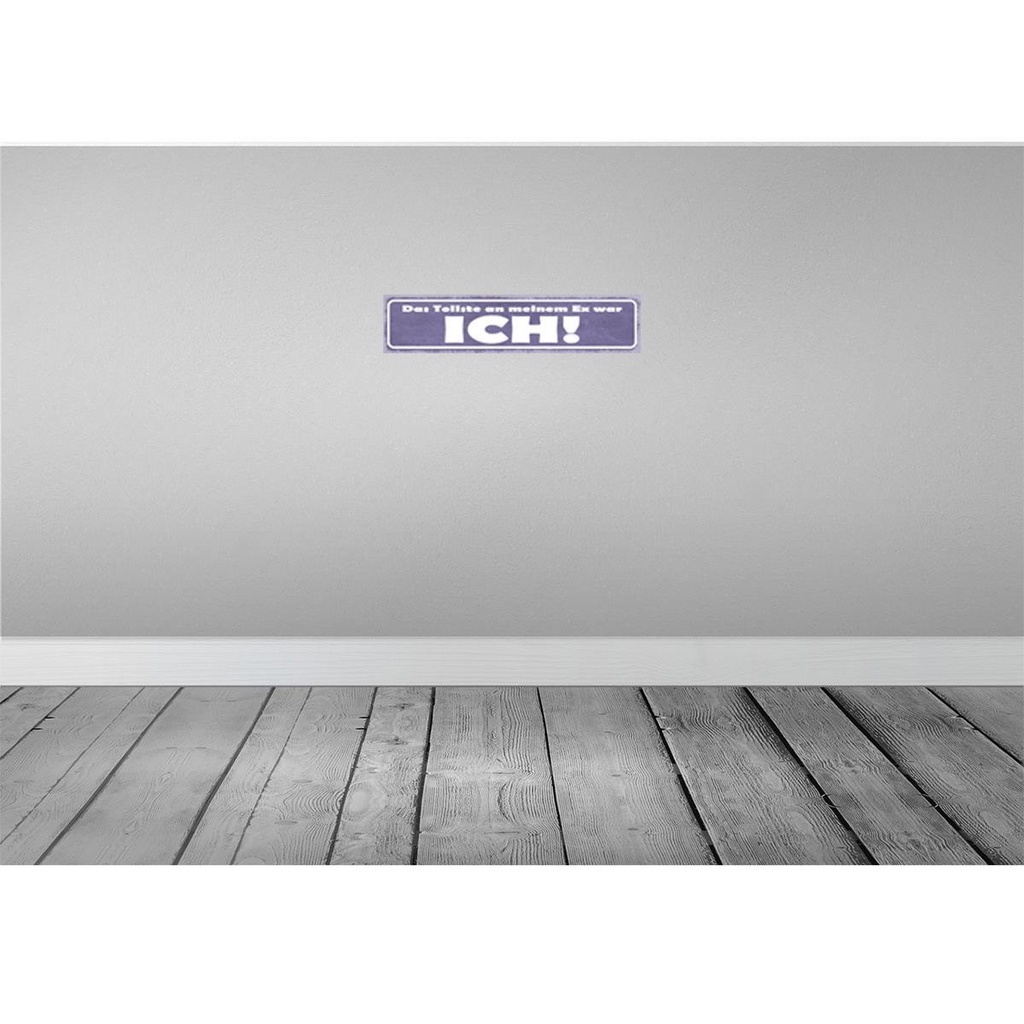 [LA-121318] Blechschild 10x46 cm das tollste an meinem Ex was ICH Spruch Zitat Bild 2
