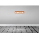 [LA-121366] Blechschild 10x46 cm besser kann ich nicht erklären Spruch Zitat Bild 2