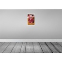 [LA-130446] Blechschild 30x20 cm Irland Essen rotes Steak Fleisch Bildmotiv Reisemotiv Abenteuer Reisen Urlaub Bild 2