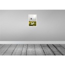 [LA-130596] Blechschild 30x20 cm Sylt Strand Leuchtturm Wiese Bildmotiv Reisemotiv Abenteuer Reisen Urlaub Bild 2