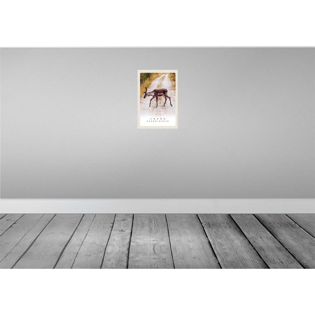 [LA-130876] Blechschild 30x20 cm Skandinawien Hirsch Natur Weg Bildmotiv Reisemotiv Abenteuer Reisen Urlaub Bild 2