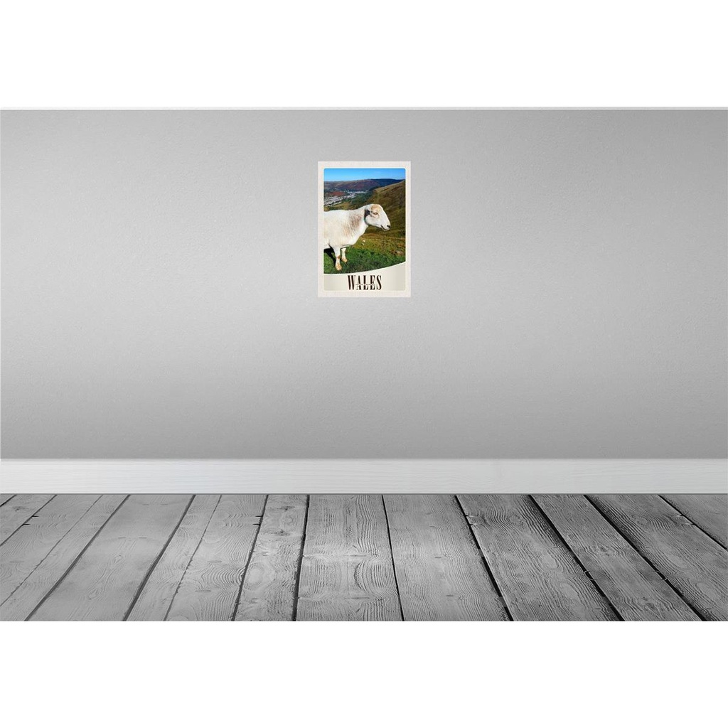 [LA-131182-H] Holzschild 30x20 cm Wales United Kingdom Schaf Wiese Natur Bildmotiv Reisemotiv Abenteuer Reisen Bild 2