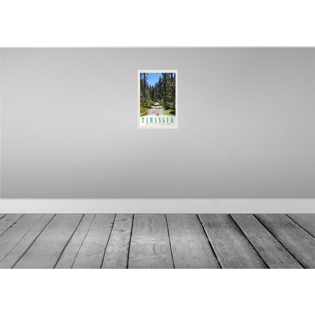 [LA-131247] Blechschild 30x20 cm Tamangur Schweiz Natur Wald Bäume Bildmotiv Reisemotiv Abenteuer Reisen Urlaub Bild 2