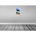 [LA-131331-H] Holzschild 30x20 cm Hiddensee Leuchtturm Baum Weide Wiese Bildmotiv Reisemotiv Abenteuer Reisen Bild 2