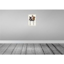 [LA-131559-H] Holzschild 30x20 cm Hunderegel schlafen wo ich will Bild 2