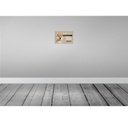 [LA-131570] Blechschild 20x30 cm Shiba Inu Security dein Risiko Hund Bild 2