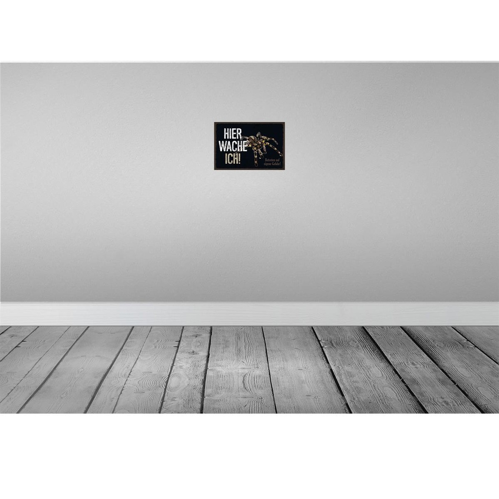 [LA-131573] Blechschild 20x30 cm Spinne hier wache ich eigene Gefahr Spruch Zitat Bild 2