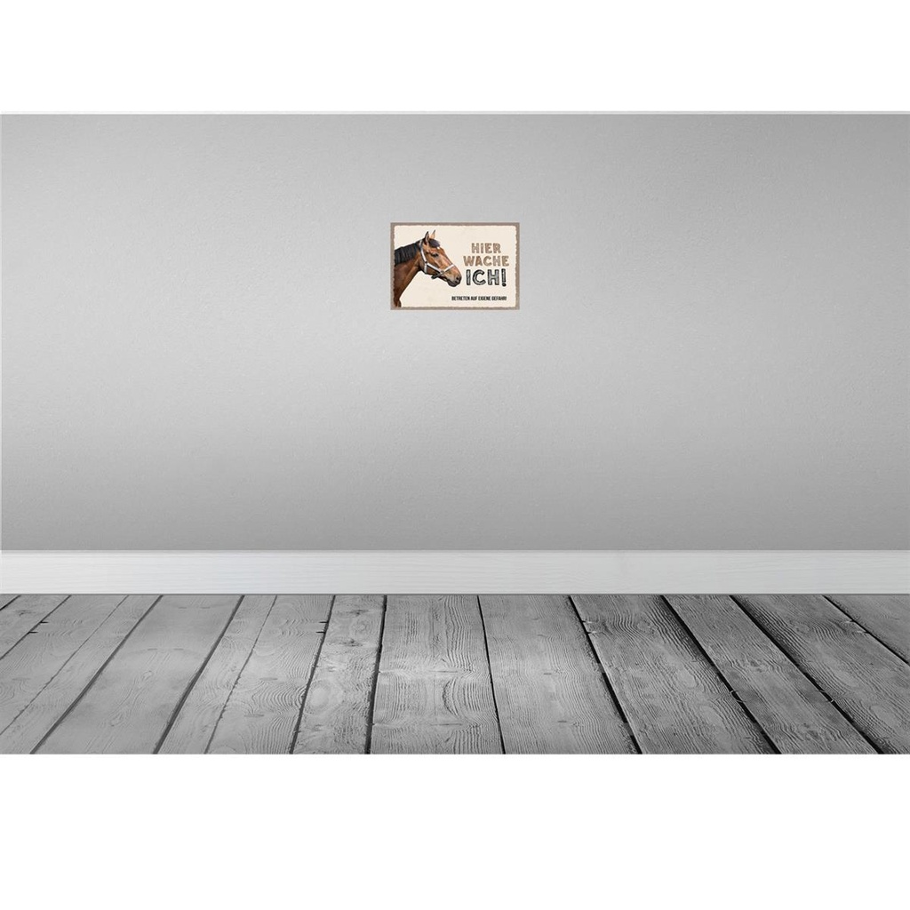 [LA-131579] Blechschild 20x30 cm Pferd hier wache ich eigene Gefahr Bild 2