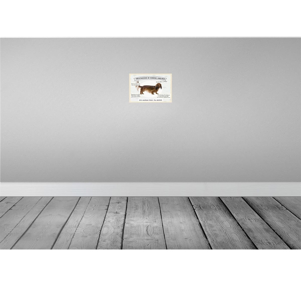 [LA-131603-H] Holzschild 20x30 cm Tiere Hund ich wohne hier du nicht Bild 2