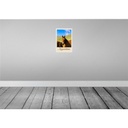 [LA-131617] Blechschild 30x20 cm Argentinien Wiese Pferde Bildmotiv Reisemotiv Abenteuer Reisen Urlaub Bild 2